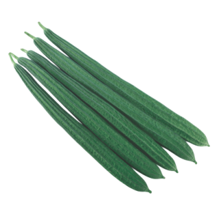 Rajat Ridge Gourd From Known You Seed (India)-KYI